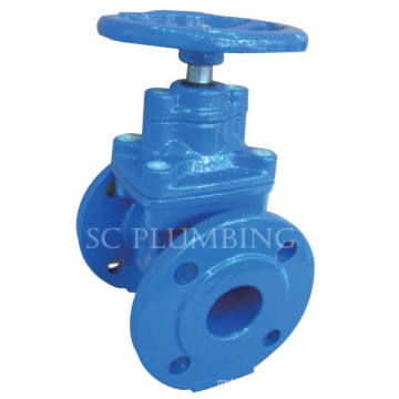 Resilient Seated Gate Valve Bs5163 (Flange end)